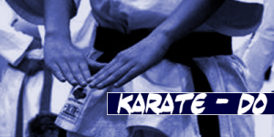 Artes Marciales Karate